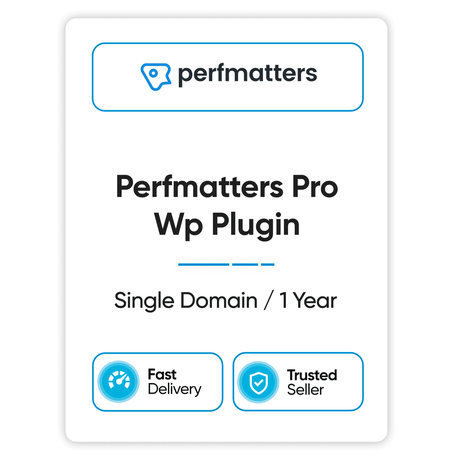 perfmatters-pro-wp-plugin-single-domain-1-year perfmatters pro wp plugin single domain 1 year